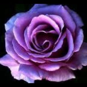 Meet your Posher, Lucy